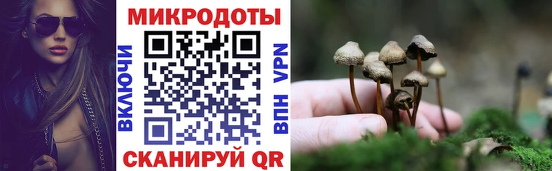 Галлюциногенные грибы MAGIC MUSHROOMS  купить закладку  Райчихинск 