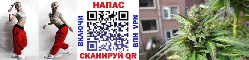 Бошки марихуана план  Райчихинск 